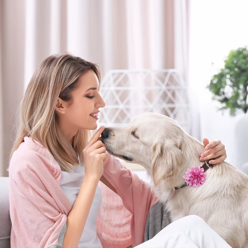 50Pcs Flower-Collar Spring Dog Supplies Slidable Dog Bow Tie Pet Collar Pet Dog Collar Charms Pet Products for Dogs Pet Bowties